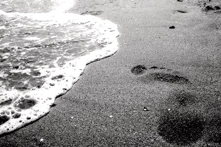 Immagine di un'orma sulla banchisa. Riflessologia: l'arte di leggere il piede e vedere dove gli altri \
											non vedono.